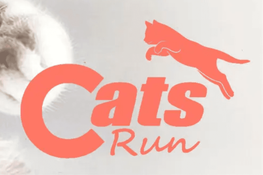 Imagem de divulgação: Cats Run 2026